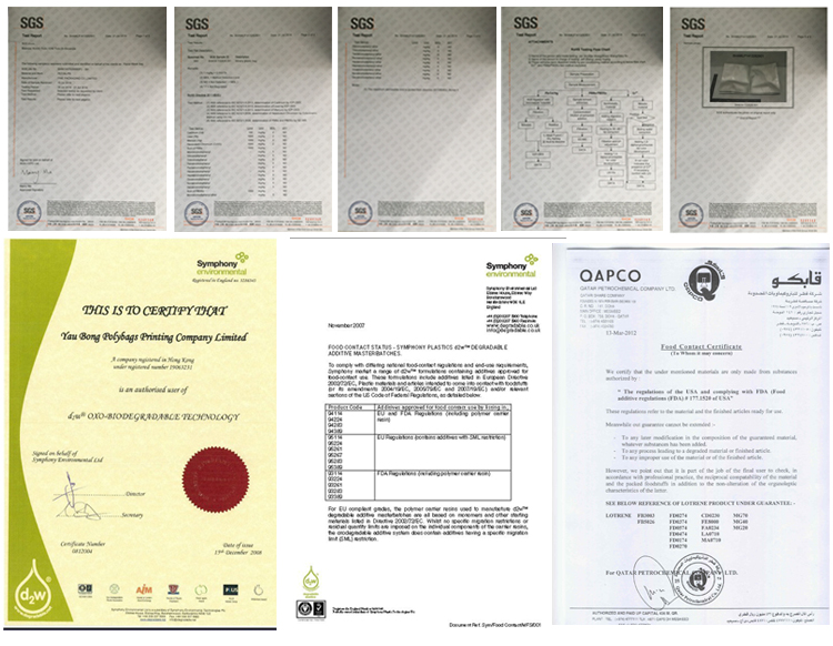 Certification Certification